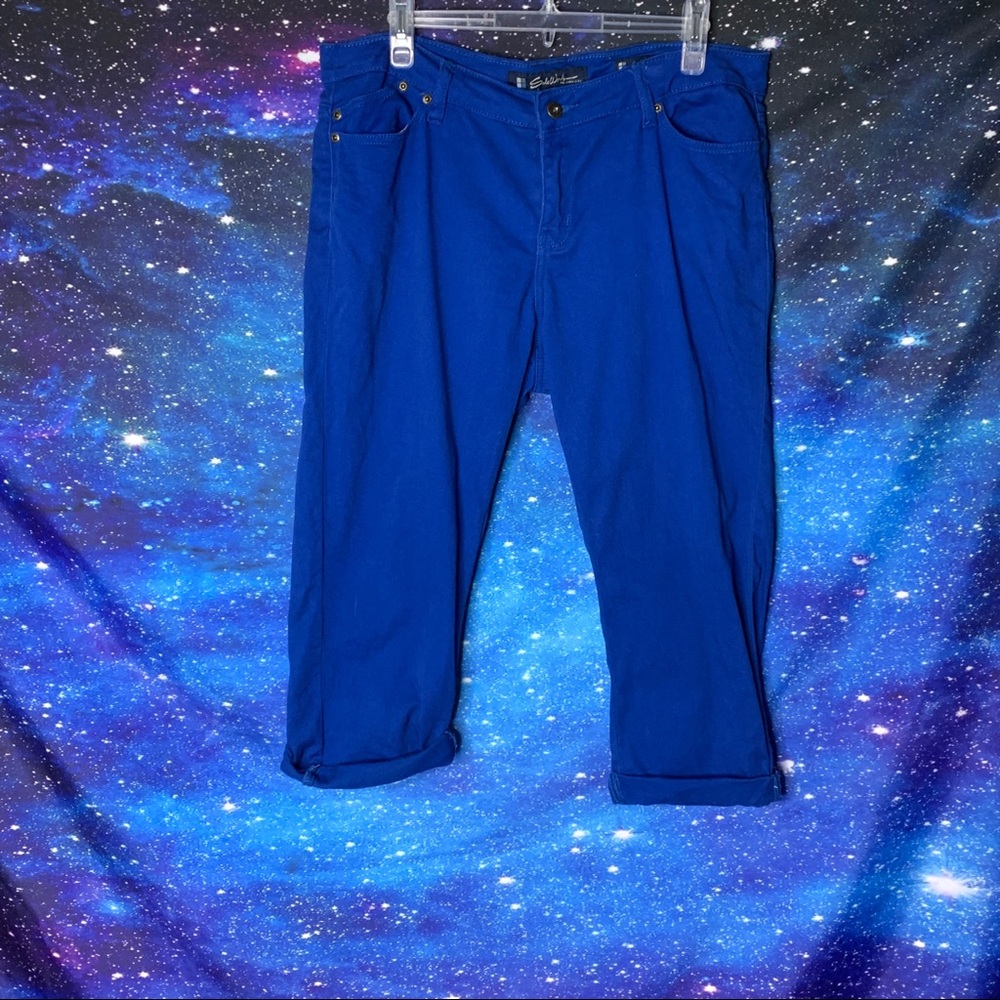 Saltwater- Blue Midrise Cropped Pants size 14P